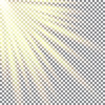 Cellular field bathed in sunlight. Sunlight design. May 3 International Day.. Stock Illustration