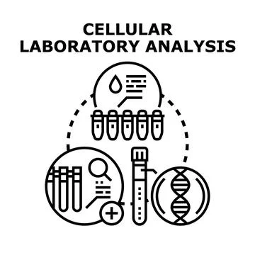 Cellular laboratory analysis research and diagnosis process Stock Illustration