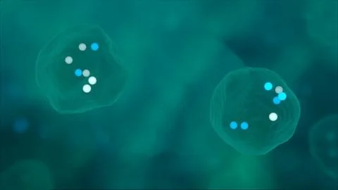 Cellular Mitosis Initiation Stock Photos