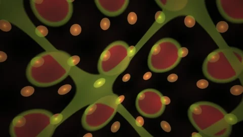 Cellular Neuron Network Motion Background with Flowing Organic Particles fo.. Stock Footage 343692370