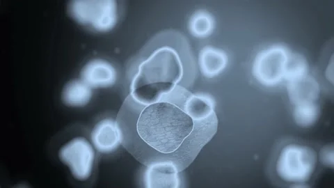 cellular organisms slowly bouncing and m... | Stock Video | Pond5