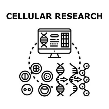 Cellular research and development of biological models Stock Illustration