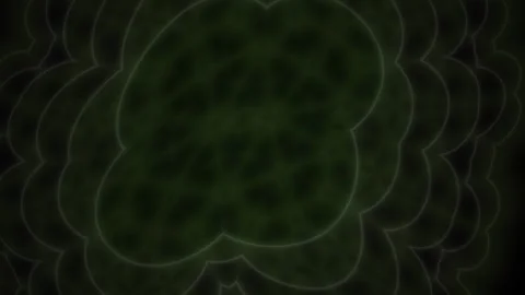 Cellular structures under microscope. 스톡 동영상 335507067