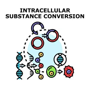 Cellular substance conversion process diagramming metabolism and dna Stock Illustration