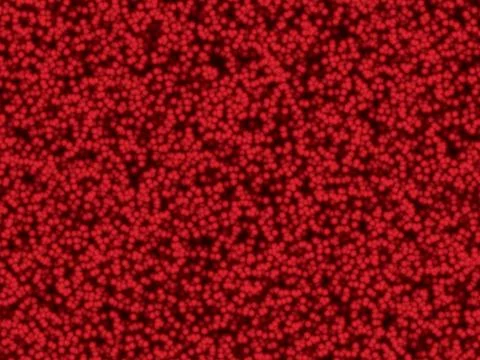 Cellular texture Stock Illustration