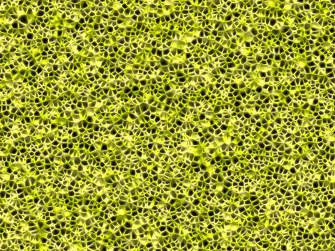 Cellular texture Illustrazione stock