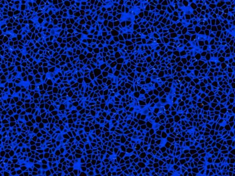 Cellular texture Stock Illustration