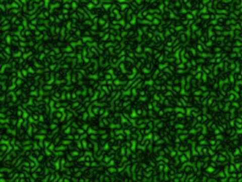 Cellular texture Illustrazione stock