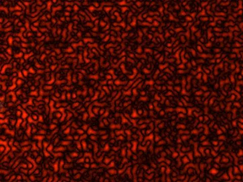 Cellular texture Stock-Illustration