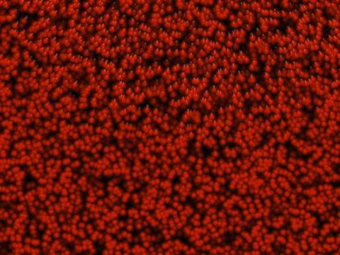 Cellular texture Stock Illustration