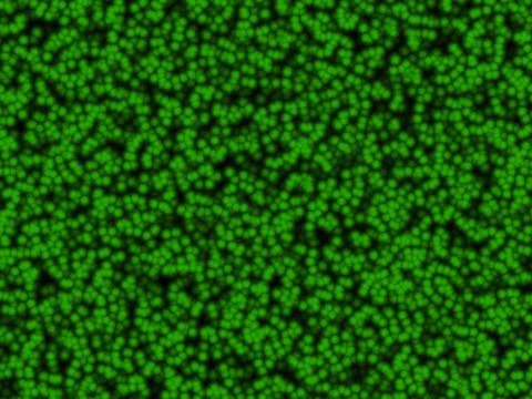 Cellular texture Stock-Illustration