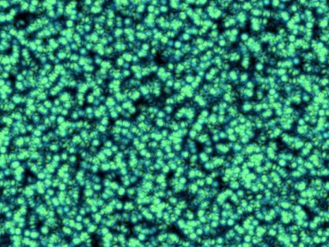 Cellular texture Stock-Illustration