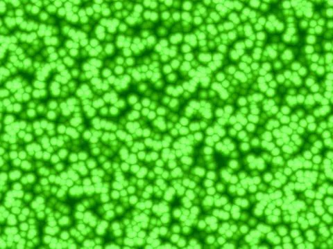 Cellular texture Illustrazione stock