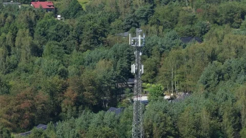 Cellular tower transmitting signals in forest Stockbeeldmateriaal 348213983
