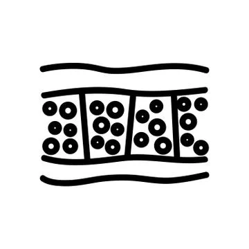 Cellulite anatomical section icon vector outline illustration Ilustración de archivo