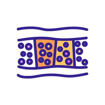 Cellulite anatomical section icon vector outline illustration Ilustración de archivo