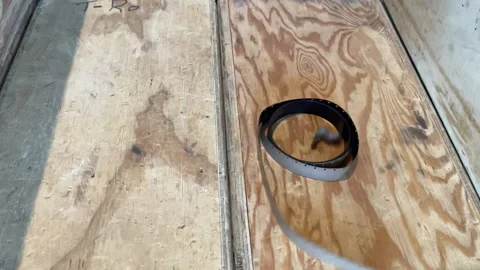 Celluloid Un Rolling Stock Footage 162658407