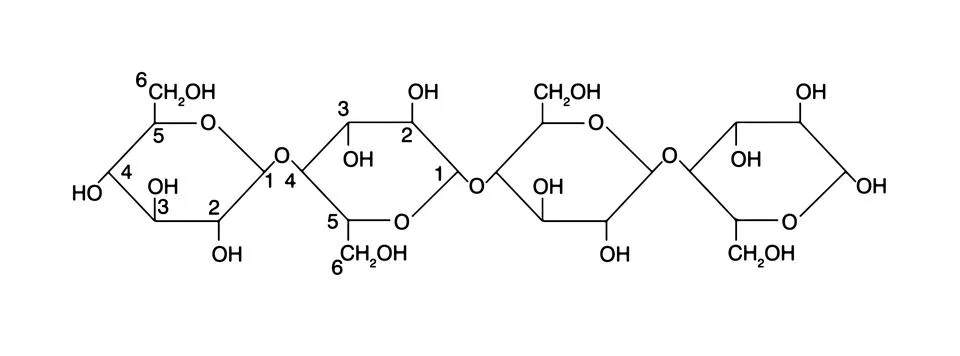 Cellulose Chemical Structure (Linear Molecule) Stock Illustration