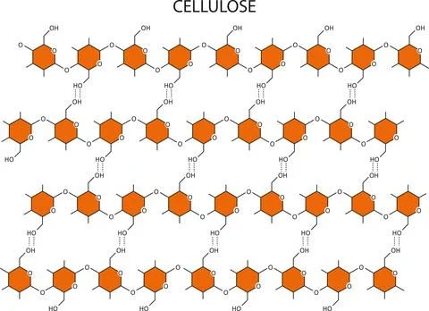 Cellulose Stock Illustration