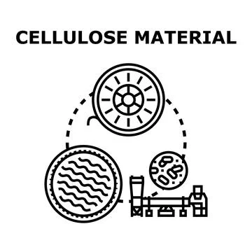 Cellulose material producing and processing concept vector Stock Illustration