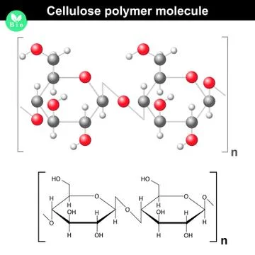 Cellulose polymer molecule Stock Illustration