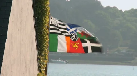 Celtic Flag Stock Footage 7751440