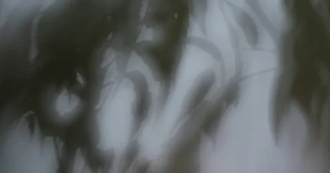 Celtic Mask Stock Footage 69845960