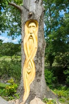 Celtic tree engraving in tarbert park Stock Photos