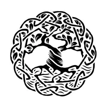 Celtic Tree of Life Stock Illustration