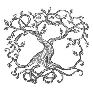 Celtic Tree of Life Stock Illustration