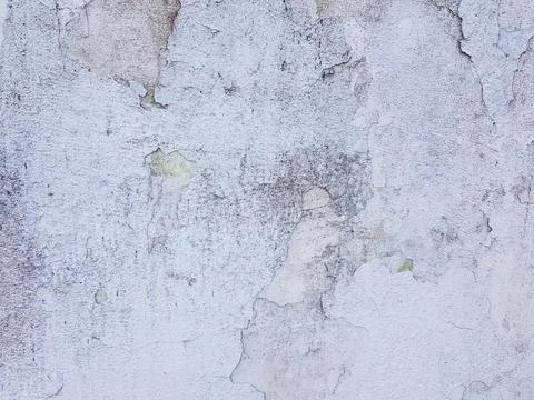 Cement background. Light gray grunge decorative stucco plaster background Stock Photos