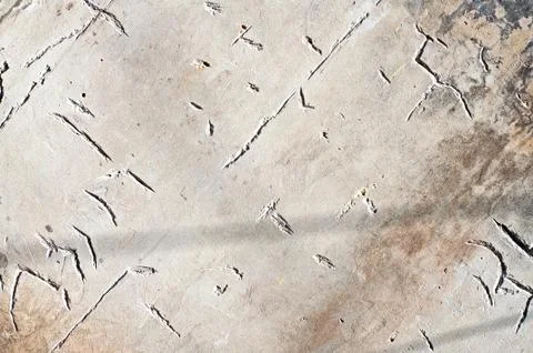 Cement Background Stock Photos