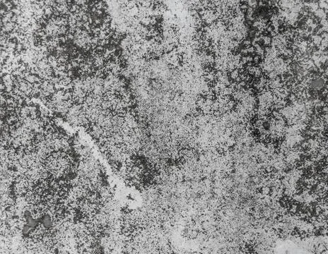 Cement background with a texture of gray wall Stock Photos