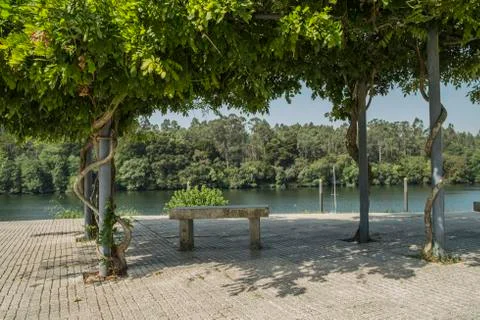 Cement bench underneath tree with river view Stock Photos