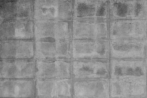 The cement block wall surface and the background are highly classy. Stock Photos