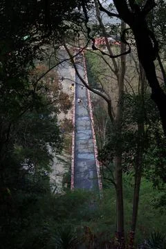 Cement bridge in the forest Stock Photos