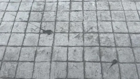 Cement concrete floor with rough texture viewed from top Stock-Footage 314098484