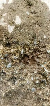 Cement concrete road surface Foto stock