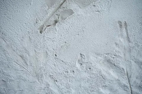 Cement floor design for background texture or concept Stock Photos