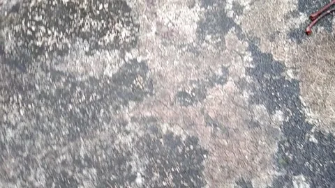 Cement floor as texture, old cracks Stock Footage 163704579