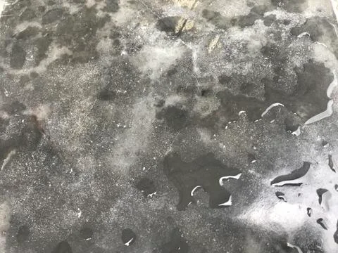 Cement floor’s full of raindrops, in “rainy” season concept Stock Photos