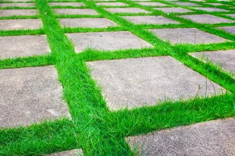 Cement footpath texture. Stock Photos
