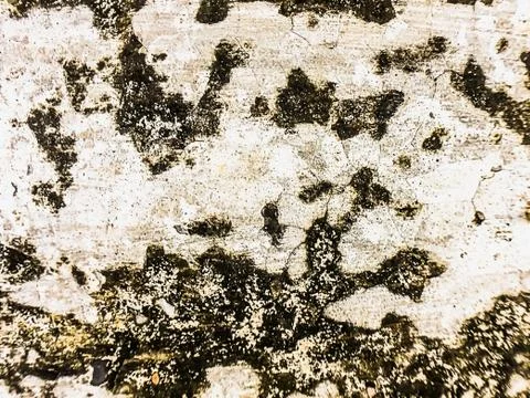 Cement ground pattern background texture Stock Photos