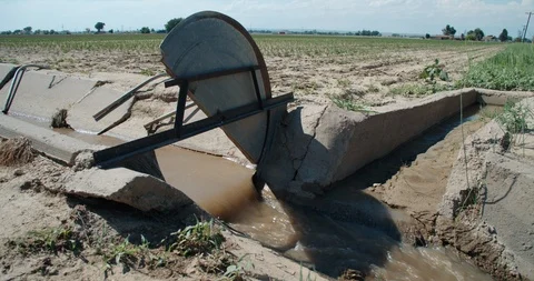 Cement irrigation ditch with head gate open to control flow Stock Footage 120739895