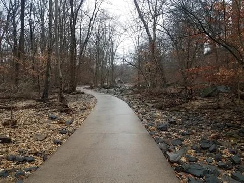 Cement path or trail with rocks and trees Stock Photos