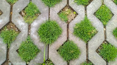 Cement paving with additional grass-based accents Stock Photos