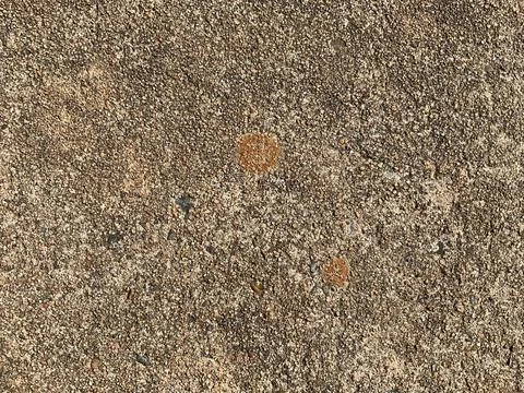 Cement with pebbles texture Stock Photos