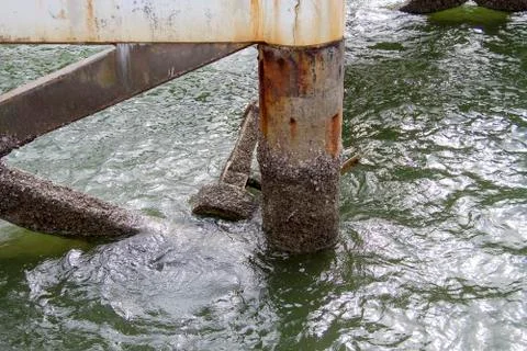 Cement pillars in water Stock Photos