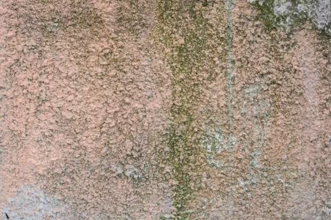 Cement plaster texture Stock Photos