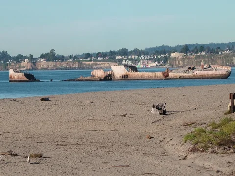 Cement Ship Stock Footage 84959303